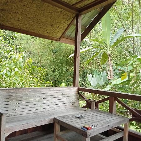 Thousand Hills Ketambe ,Room And Treking Lhokuenam 외부 사진