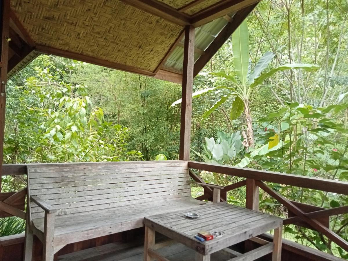 Thousand Hills Ketambe ,Room And Treking Lhokuenam 외부 사진