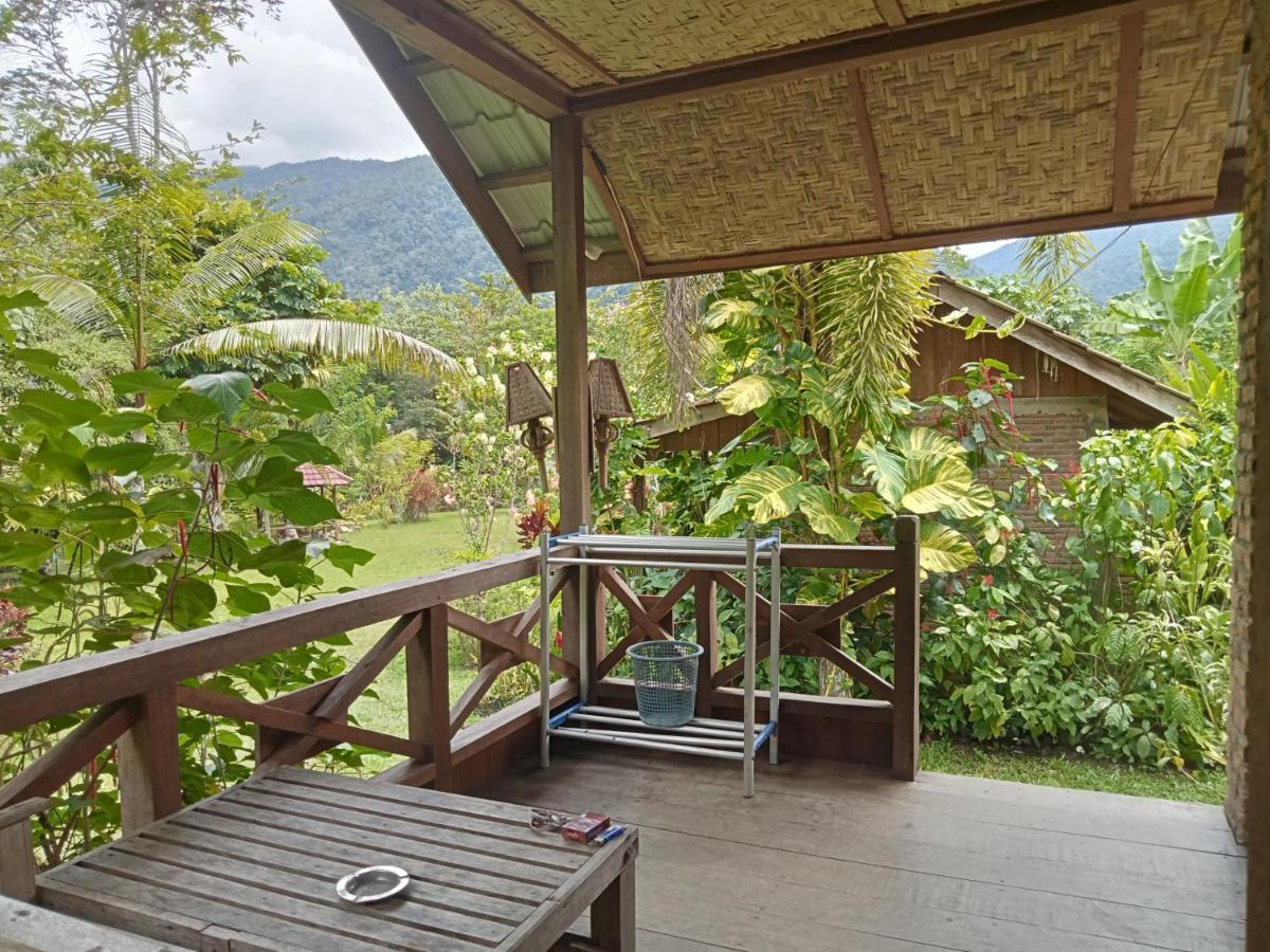 Thousand Hills Ketambe ,Room And Treking Lhokuenam 외부 사진