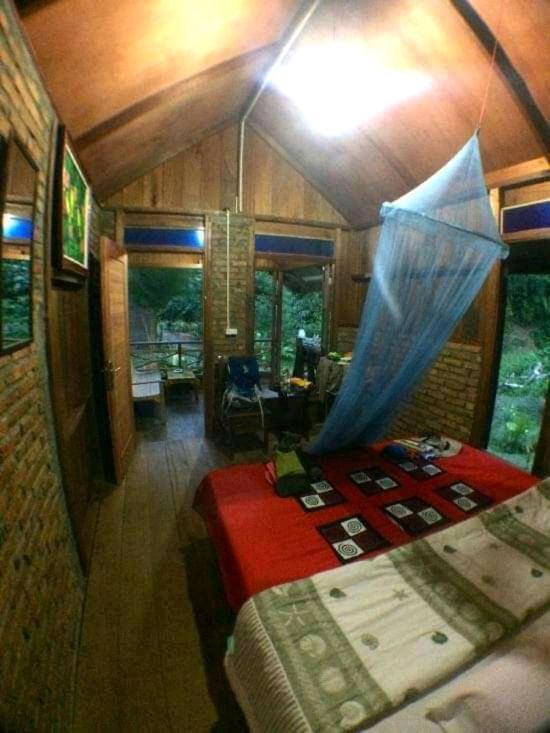 Thousand Hills Ketambe ,Room And Treking Lhokuenam 외부 사진