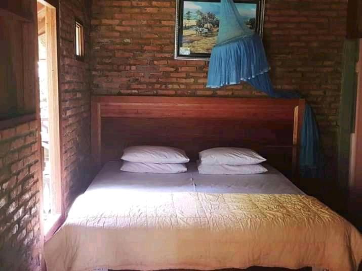 Thousand Hills Ketambe ,Room And Treking Lhokuenam 외부 사진