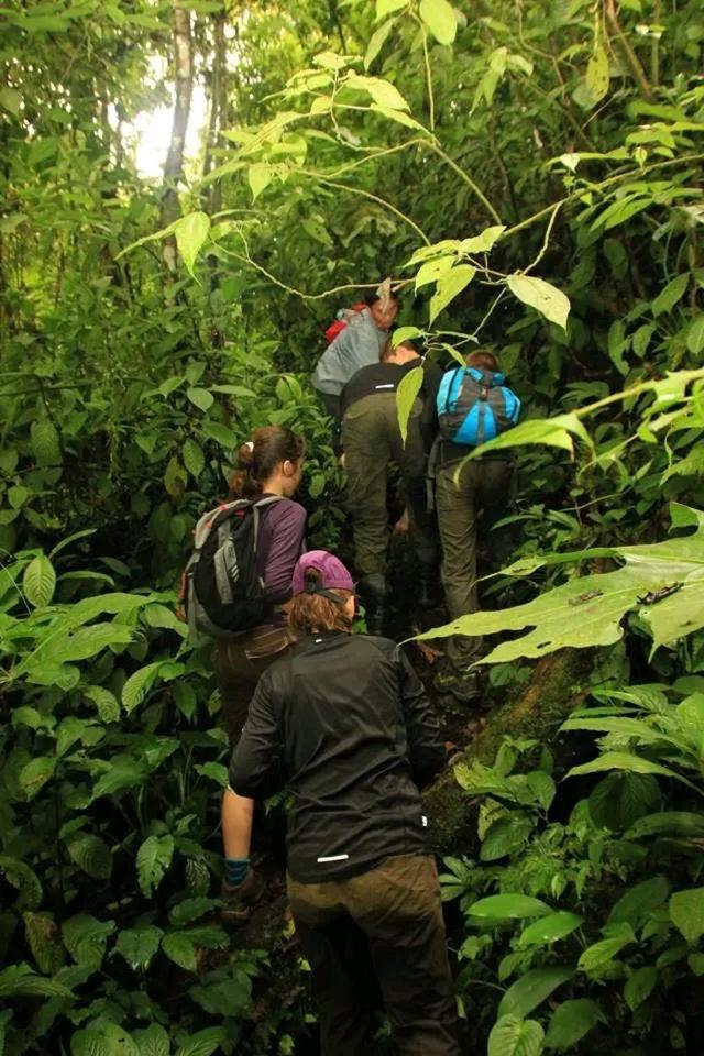 Thousand Hills Ketambe ,Room And Treking Lhokuenam 외부 사진